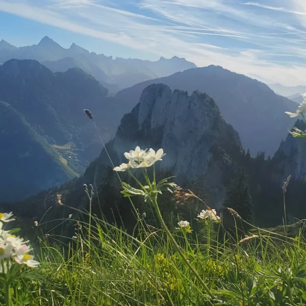 Anacad formation professionnelles 74 chablais haute savoie