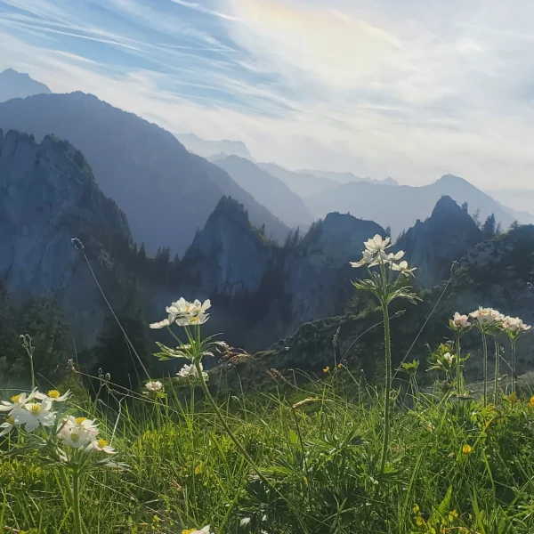 Anacad formation professionnelles chablais haute savoie 74
